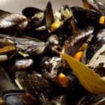 Geöffnete Miesmuscheln