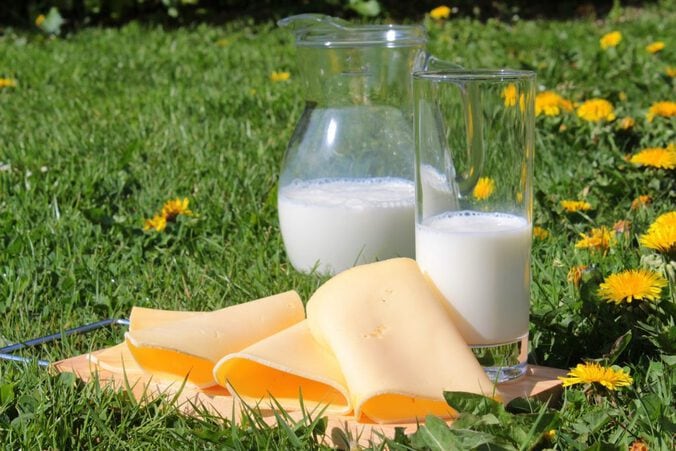 Milch und Käse auf einer grünen Wiese